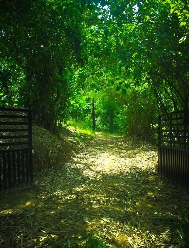 Winds Of Wayanad Villa Sultans Battery Semesterbostad